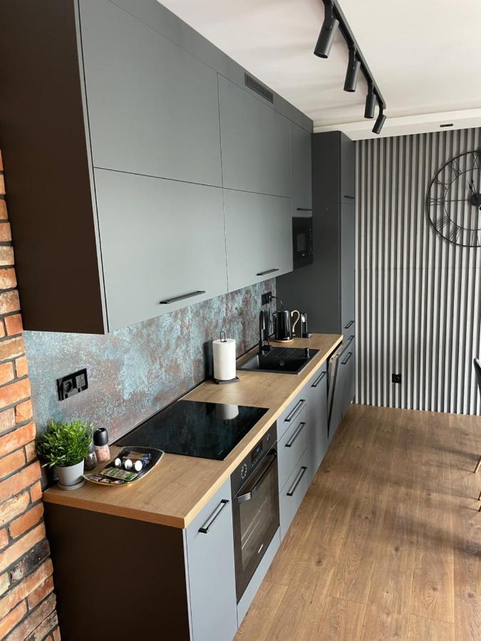 Apartament Grey Love W Czeladzi, Fv, 8Km Do Katowic Екстер'єр фото